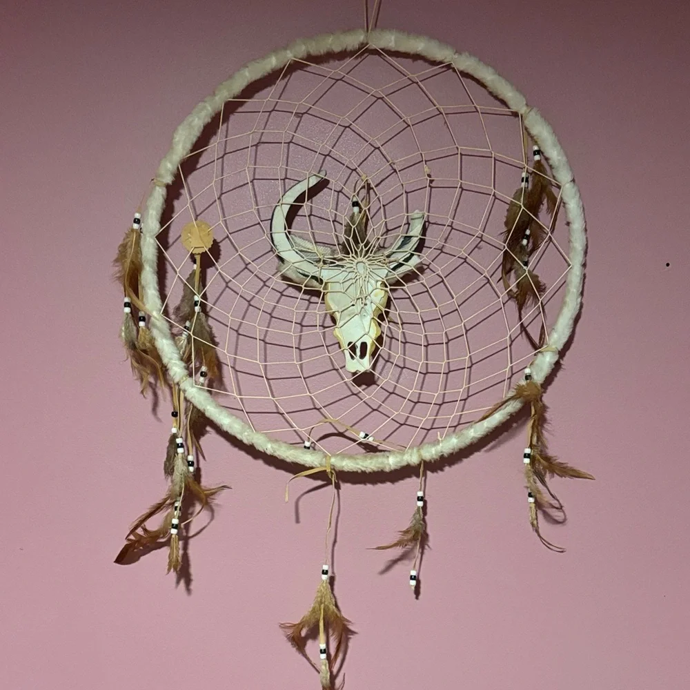 Rustic Dreamcatcher with Skull Accent
